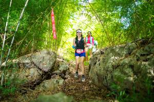 BIB: 
                            <button type="button" onclick="openModal(22089116)" class="btn btn-primary btn-sm float-right btn-popup" data-toggle="modal" data-target=".modal-high-quality">
                        <i class="fas fa-shopping-cart"></i> Add to Cart
                    </button>
                                            <button type="button" onclick="isThisMe(22089116, true)" class="btn btn-success btn-sm float-right btn-popup btn-isme hidden" data-toggle="tooltip" data-placement="bottom" title="นี่คือรูปของคุณใช่ไหม คลิกที่นี่เพื่อเอาเข้าอัลบั้ม">
                        <i class="fas fa-plus"></i> Add to album
                    </button>
                    <button type="button" onclick="isThisMe(22089116, false)" class="btn btn-warning btn-sm float-right btn-popup btn-isnotme hidden">
                        <i class="fas fa-ban"></i> Remove from album
                    </button>